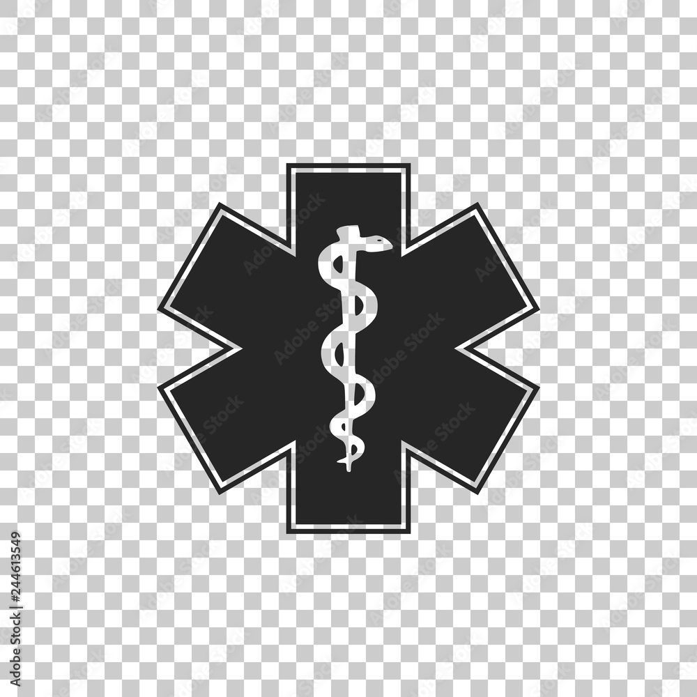 Medical symbol of the Emergency - Star of Life icon isolated on ...