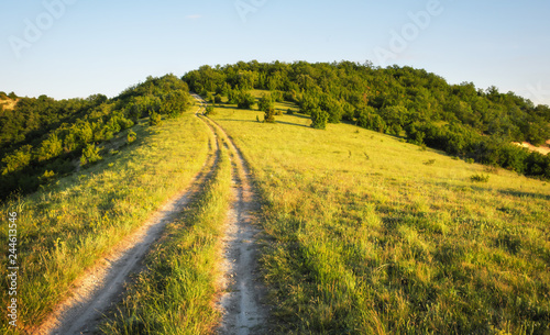 Summer landscape with green grass, road and trees