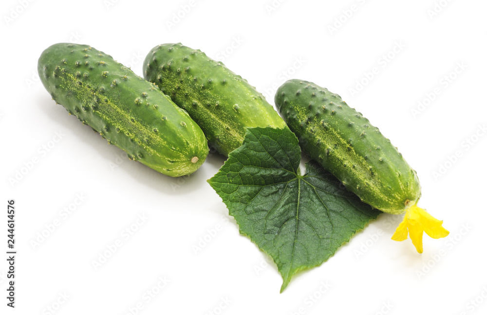 Green cucumbers with a flower. Green cucumbers with a flower.
