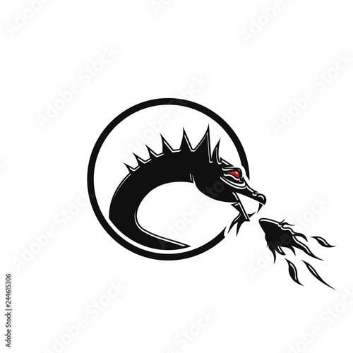  Dragon logo design photo