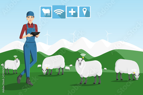 A farmer with a computer tablet is grazing a herd of sheep on a smart farm.  
