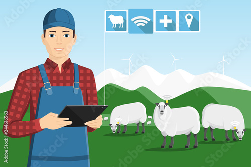 A farmer with a computer tablet is grazing a herd of sheep on a smart farm. 