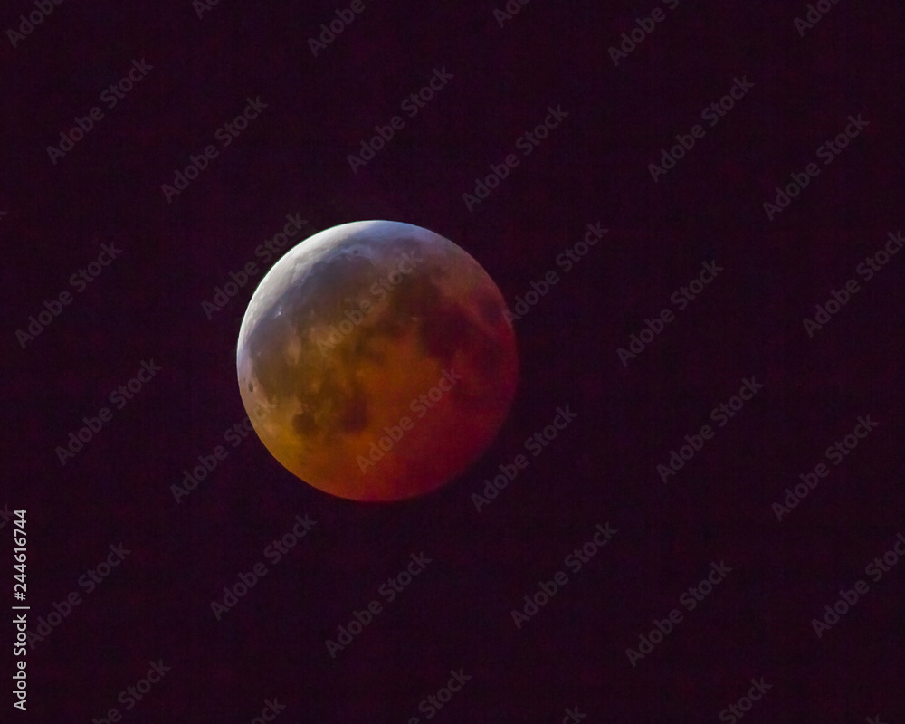 2019 Super Blood Wolf Moon 2019 Super Blood Wolf Moon