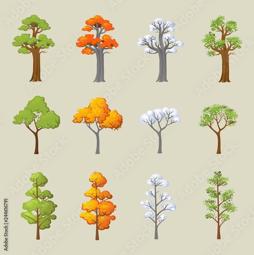 Set of different trees with seasonal design. Cartoon trees in snow and leaves. Vector illustration