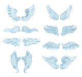 Set of angel wings isolated on white background. Vector illustration