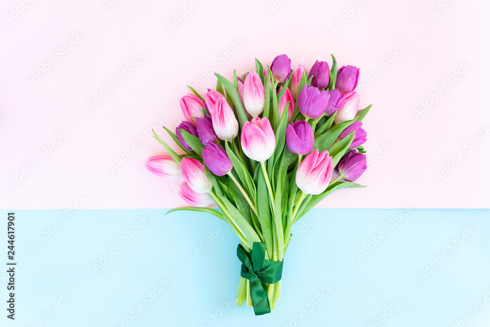 Pink fresh tulips Pink fresh tulips
