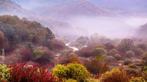 Inje Secret Garden is full of fog photo