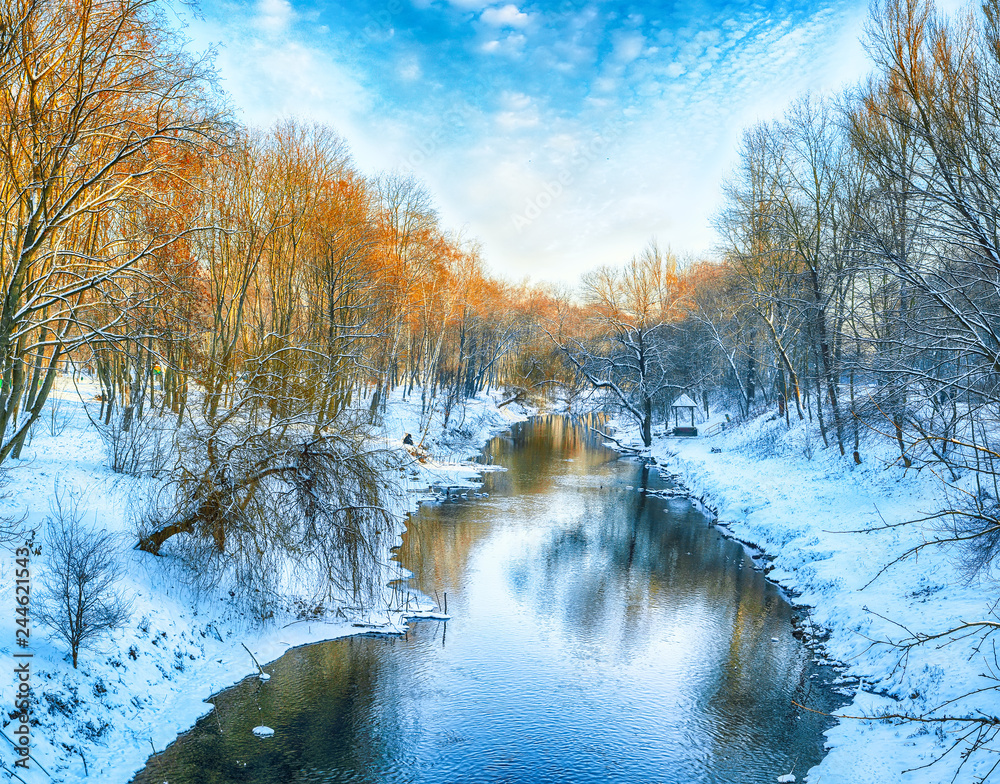 Naklejka premium Scenic view of the river and trees in winter