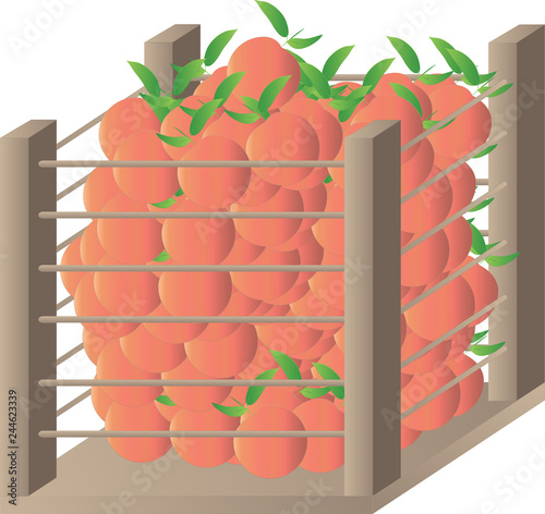 Crate of Fruits