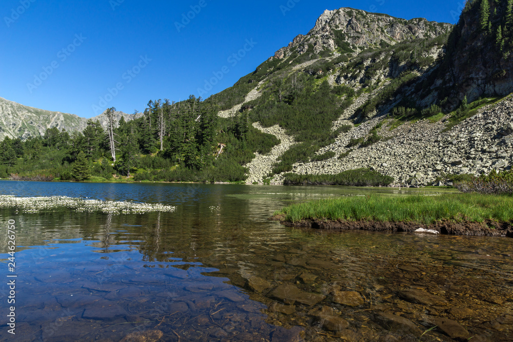 Landscape with Fish Vasilashko lake, Pirin Mountain, Bulgaria