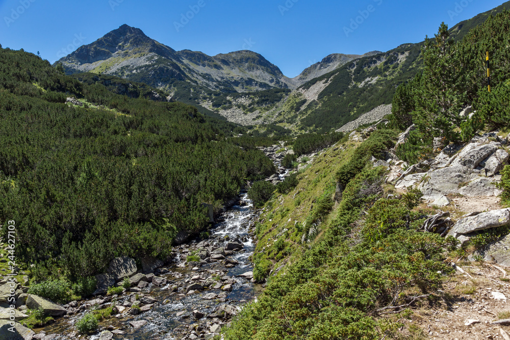 Landscape with Valyavitsa river and Valyavishki chukar peak, Pirin Mountain, Bulgaria