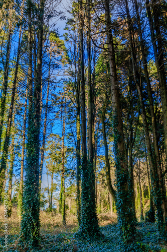 Vista da Serra de Sintra em Portugal