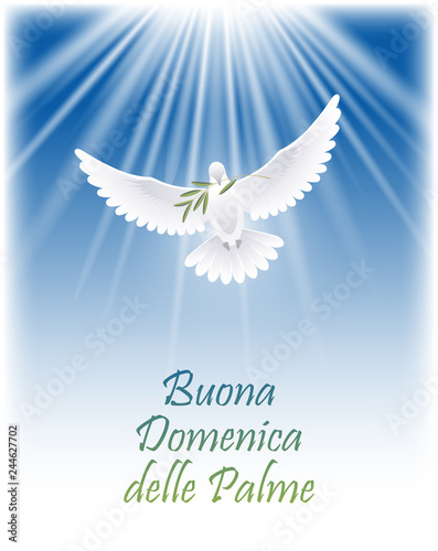 Happy Palm Sunday in Italian. Greeting card with white flying dove and olive branch. Vector illustration.