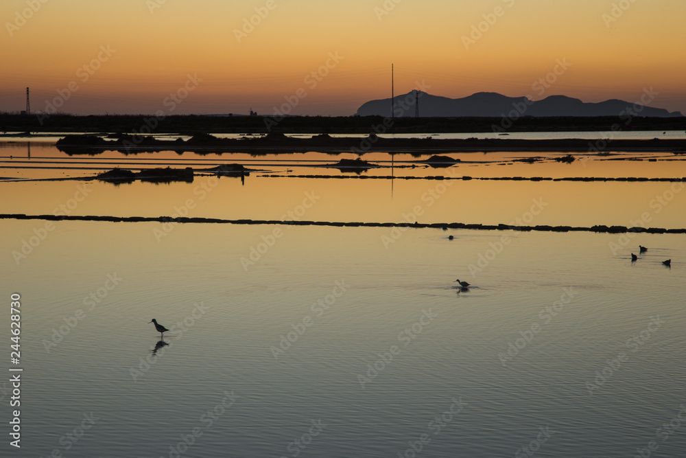 Naklejka premium Sunset on water with birds