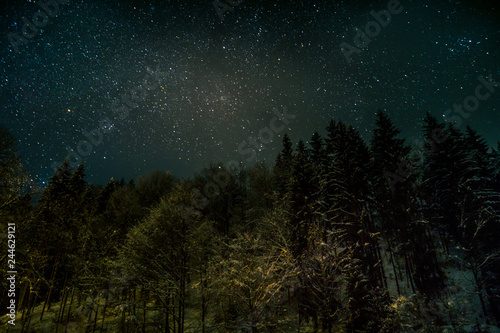 Scenic view of beautiful night sky with many shining stars over the green pine tree forest