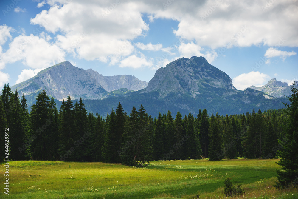 Magical landscape, journey in mountains of the National Nature Park Durmitor in Montenegro. 