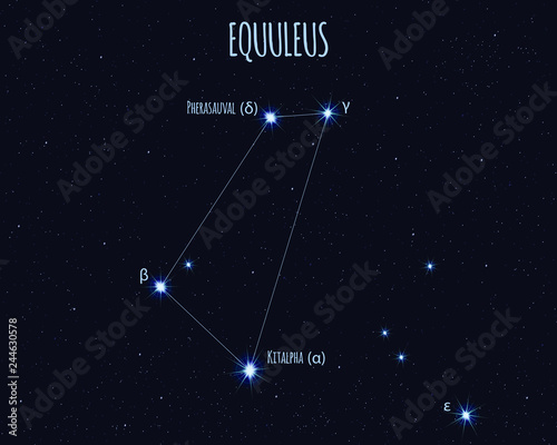 Equuleus (The Little Horse) constellation, vector illustration with the names of basic stars against the starry sky