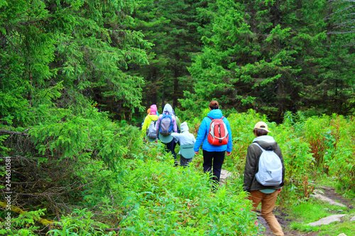 Tourists descend from the mountains. Background. Landscape.