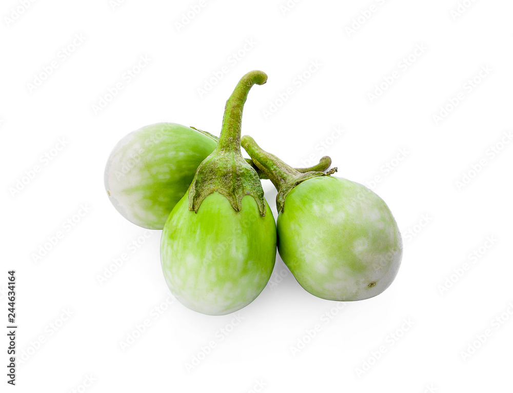 green eggplant on white background green eggplant on white background