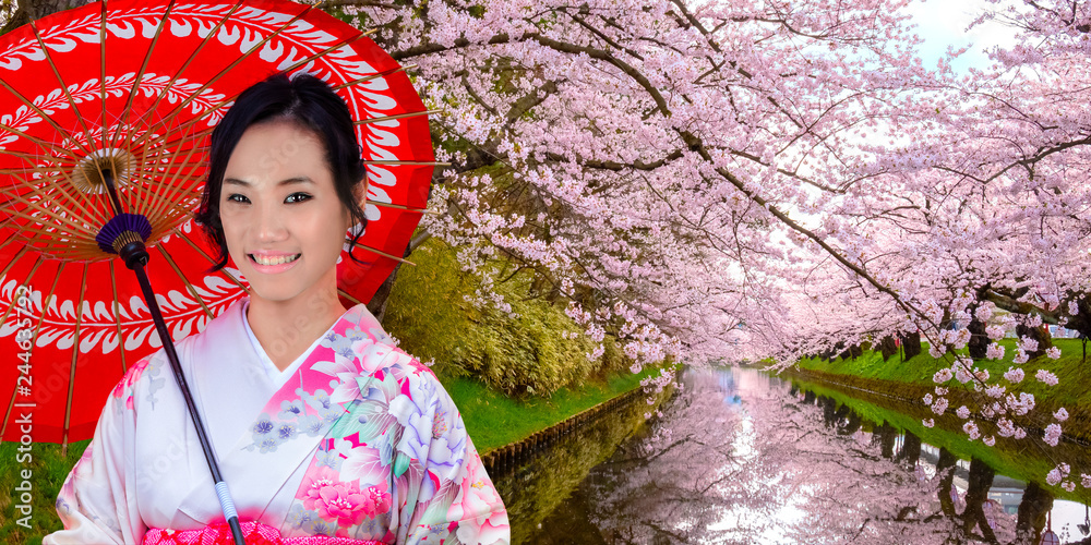 Japanese woman in Kimono dress with Full bloom Sakura - Cherry Blossom at Hirosaki park in Hirosaki, Japan Japanese woman in Kimono dress with Full bloom Sakura - Cherry Blossom at Hirosaki park in Hirosaki, Japan