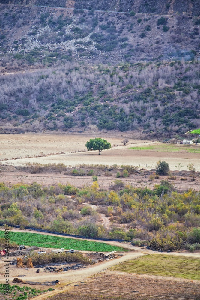 Fototapeta premium La Mision Valley landscapes and Beach in Mexico on the West Coast a small canyon near the Pacific Ocean that houses the Door of Faith and Buena Vida Orphanage, South of Tijuana, Mexico. 