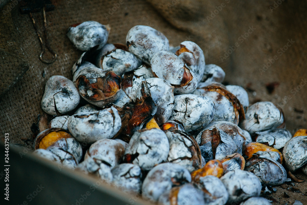 roasted portuguese nuts