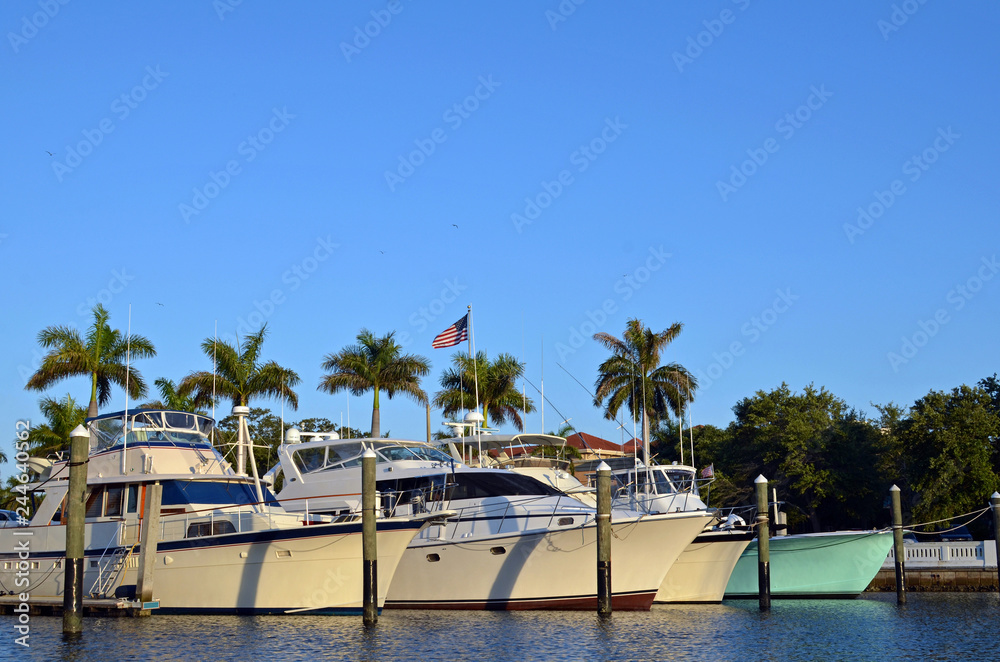 The bow or front of Four large, luxury power yachts at their marina docks with a row of palm trees against a clear blue sky and a large United States of America flag flying in the background.