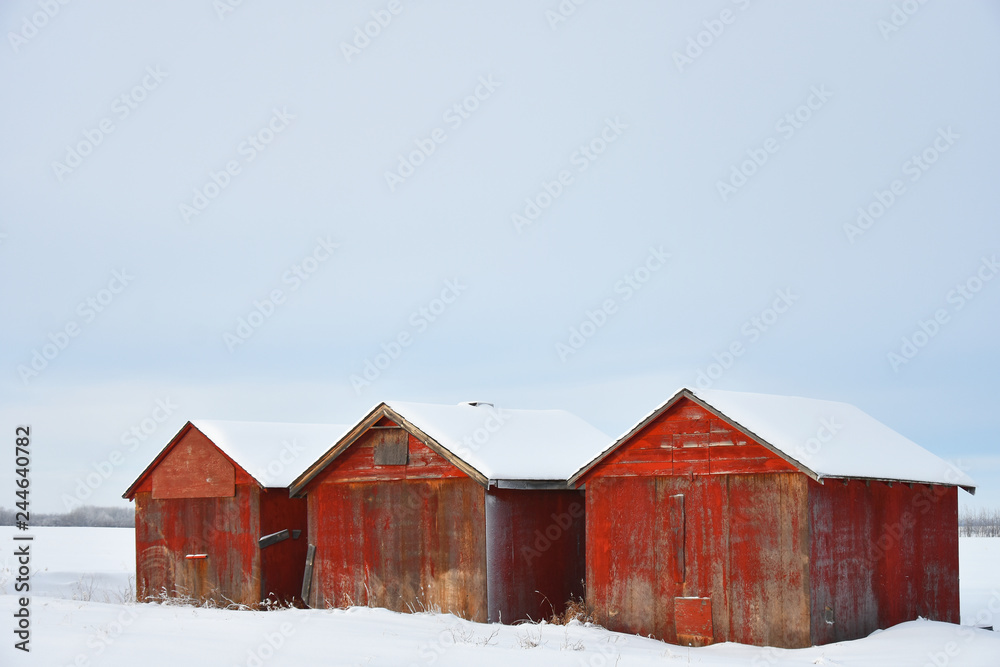 Old Wooden Granaries in Winter