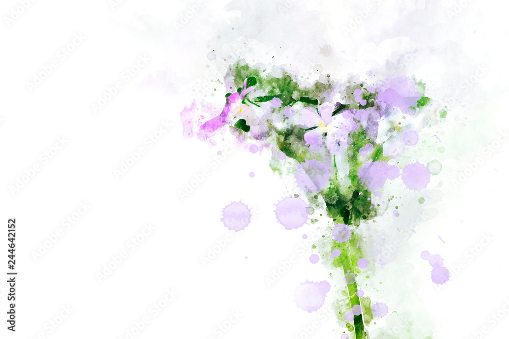 Abstract image of purple flower. Digital watercolor image. Abstract image of purple flower. Digital watercolor image.