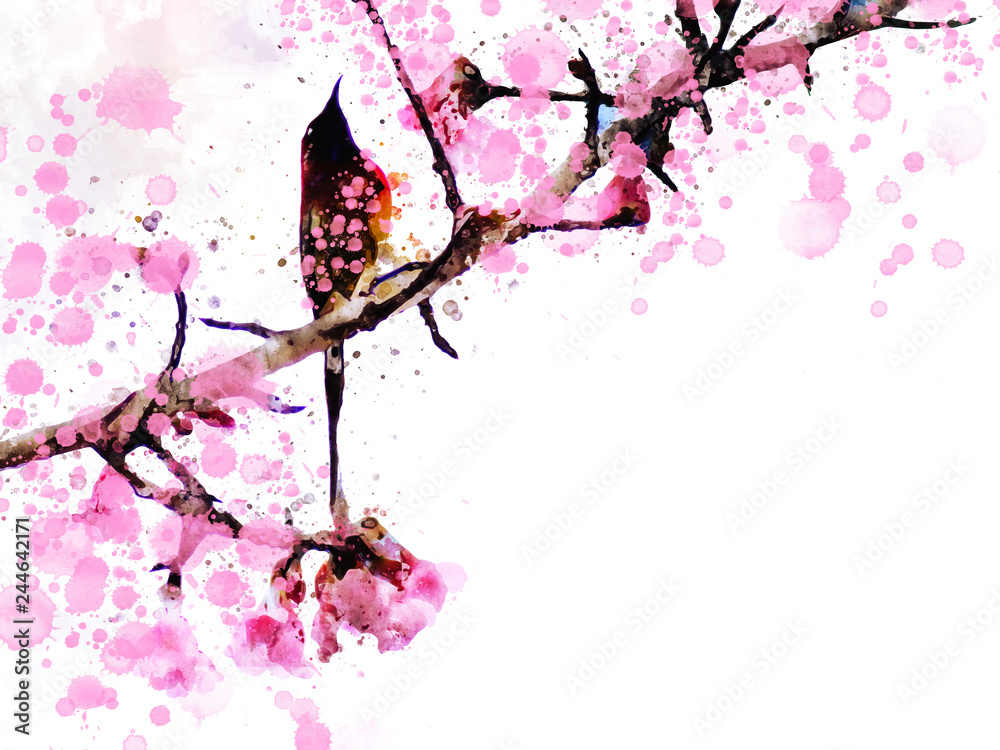 Pink cherry blossom with bird on white background. Digital watercolor illustration.