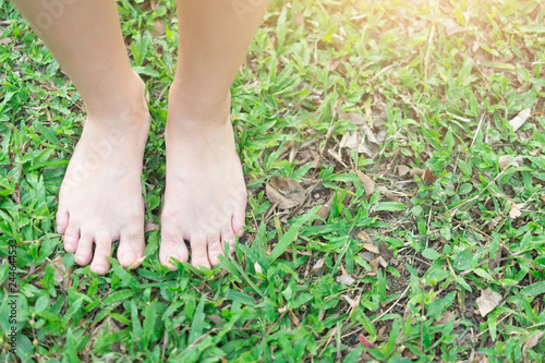 Bare feet standing on the lawn for relaxation. Therapy of nature concept