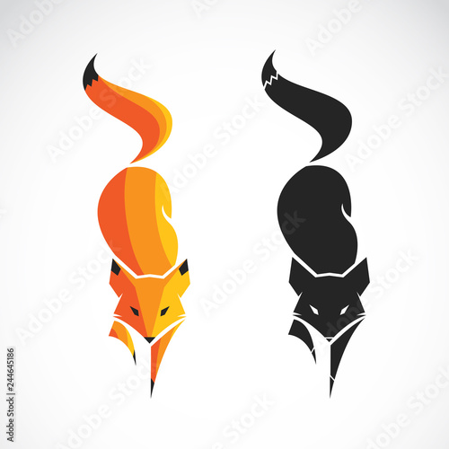 Vector of fox design on a white background,. Wild Animals. Easy editable layered vector illustration.