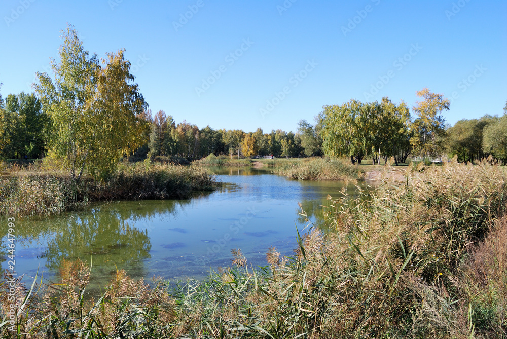Autumn Autumn