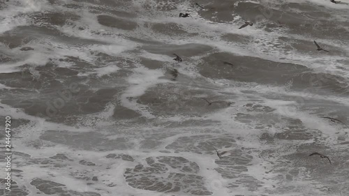 The Pacific Ocean. Swirling waves are on Pacific ocean after rain, Goat Rock Beach, Sonoma County, California winter. 