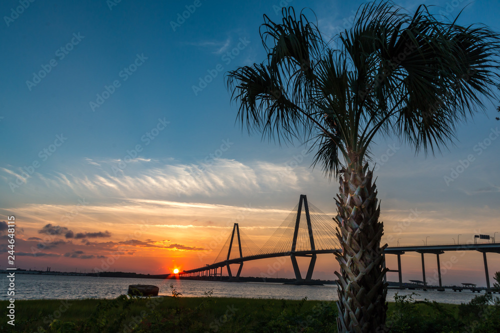 Fototapeta premium most kablowy z zachodem słońca i drzewem palmetto