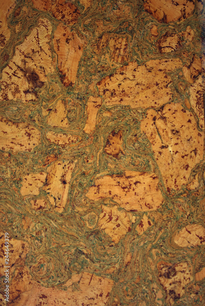 Cork oak panel texture