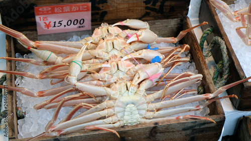 Fresh and live Matsuba Kani crabs for sale displayed in a box with ice cubes. Translation of Japanese label: Matsuba Kani, feature or product from Tajima area, Japan. 1 crab costs 15,000yen. photo