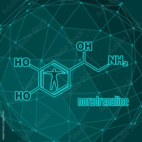 Chemical molecular formula hormone noradrenaline. Infographics illustration. Man silhouette