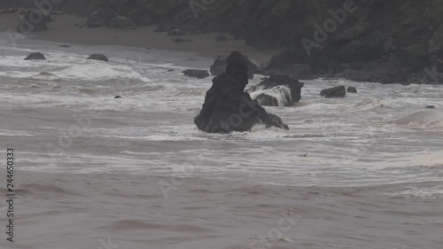 The Pacific Ocean. Swirling waves are on Pacific ocean after rain, Goat Rock Beach, Sonoma County, California winter. 