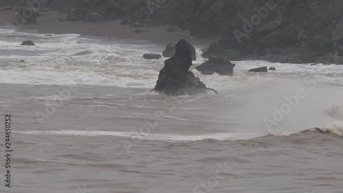 The Pacific Ocean. Swirling waves are on Pacific ocean after rain, Goat Rock Beach, Sonoma County, California winter. 