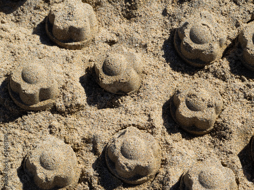 The flowers are made of sand on the beach.