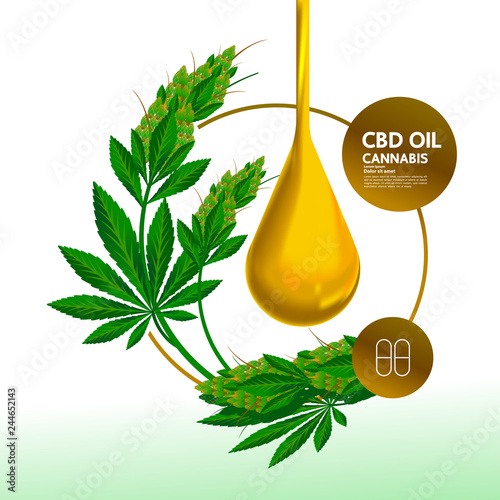 Cannabis for medical vector.