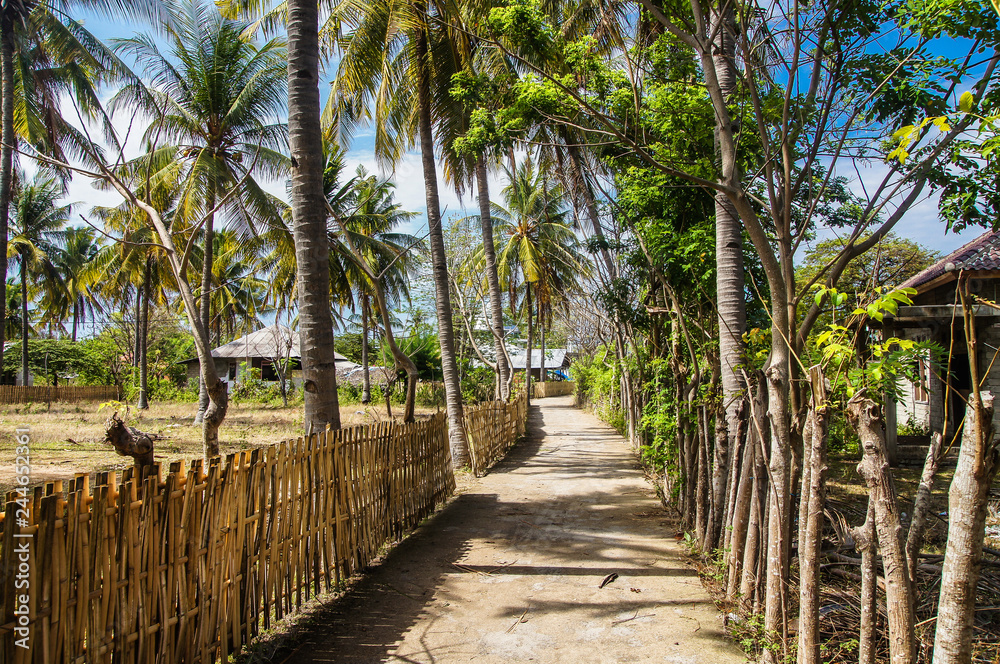 A rural corner of a tropical island the tropical island of Gili Meno. Indonesia