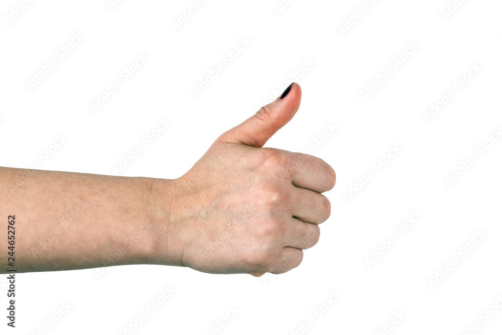 Closeup. woman showing thumbs up. Business person giving satisfied and supportive hand gesture. White background