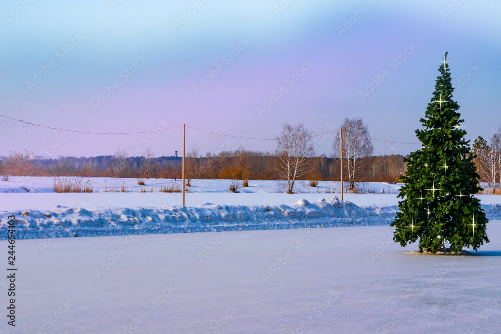 Christmas tree on the street ice rink on the background of trees and winter sky