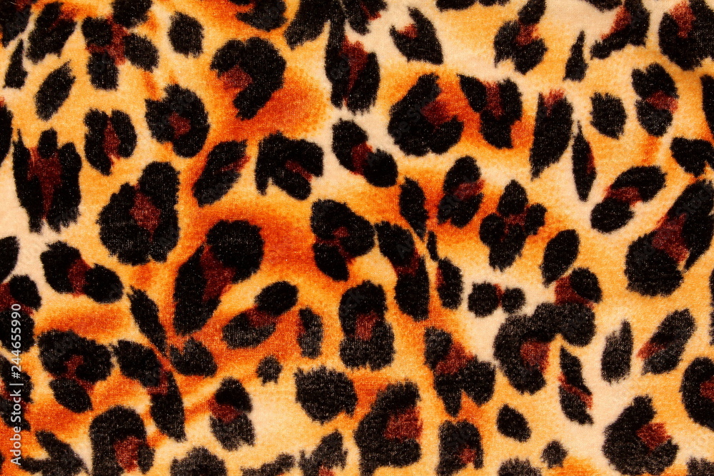 Textured background showing close up of leopard spots. Textured background showing close up of leopard spots.