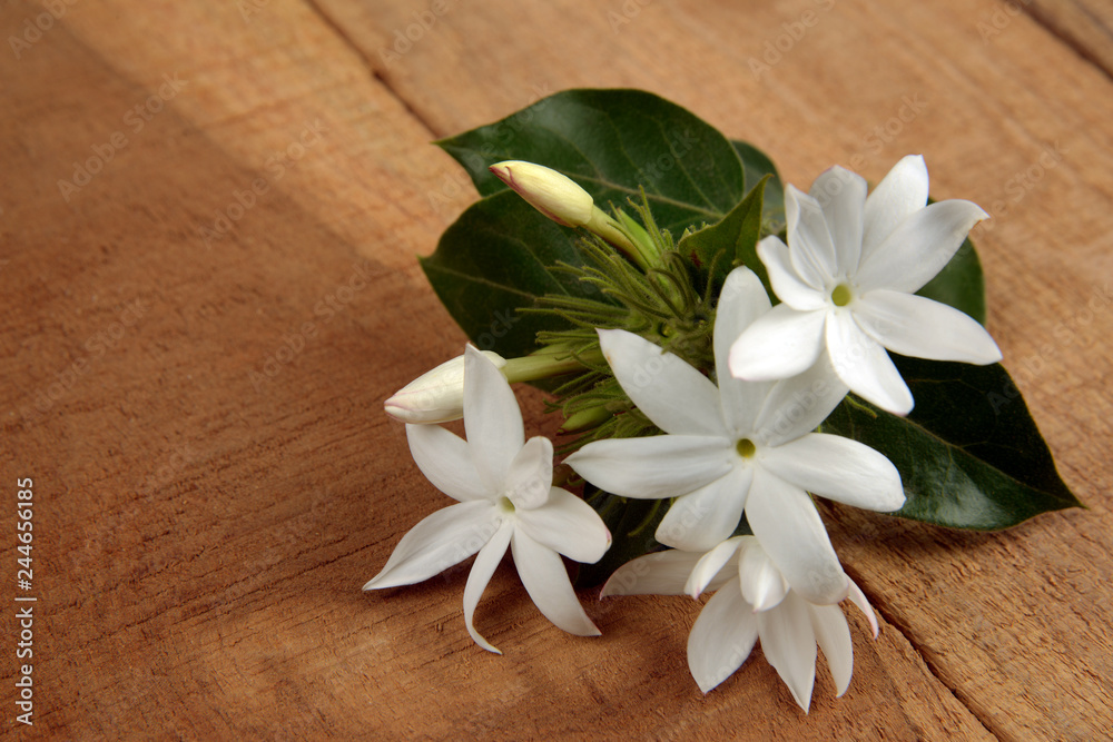 Bunch of White star jasmine flower on Wood Bunch of White star jasmine flower on Wood