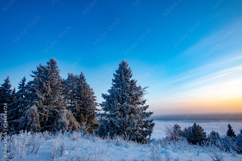 Winter landscape. Frosty sunny day in winter. Forest under white snow.