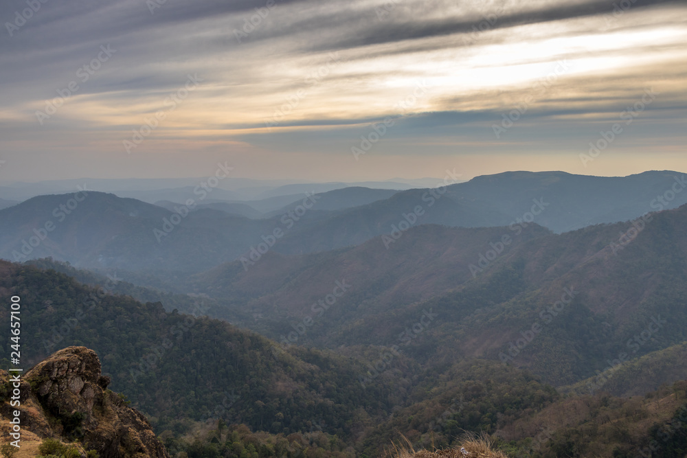 Fototapeta premium Parunthumpara is a village in the Indian state of Kerala's Idukki District. It is a small scenic location near Wagamon en route to Peerumedu. 