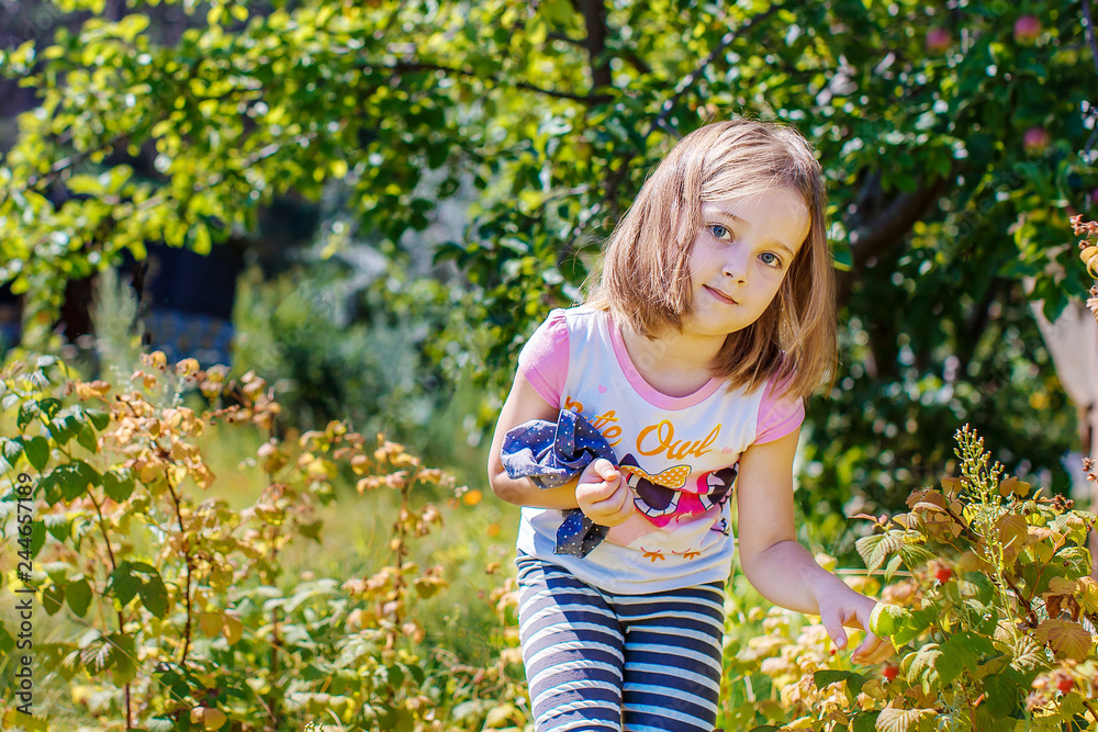 little girl picking berries in the summer garden little girl picking berries in the summer garden